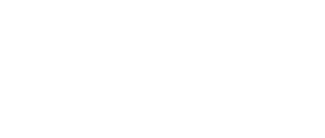 Merritt Chiropractic Clinic, LLC
